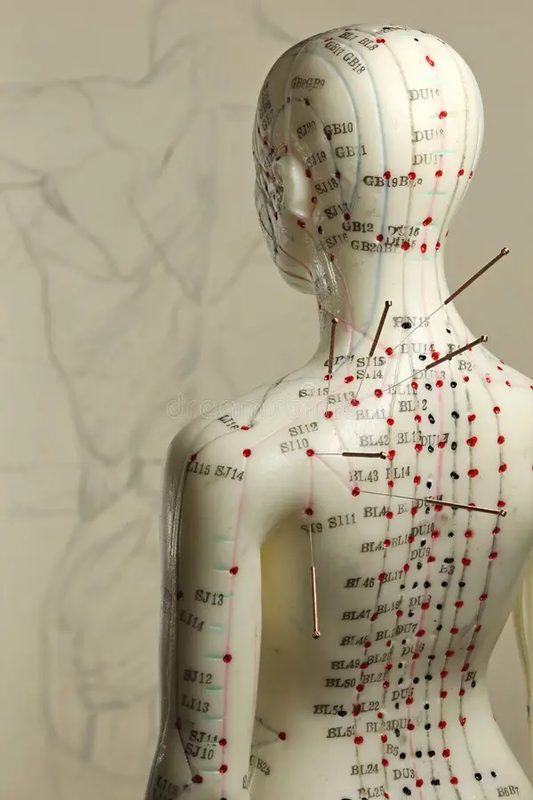 Heidi Sharp – Acupuncture
